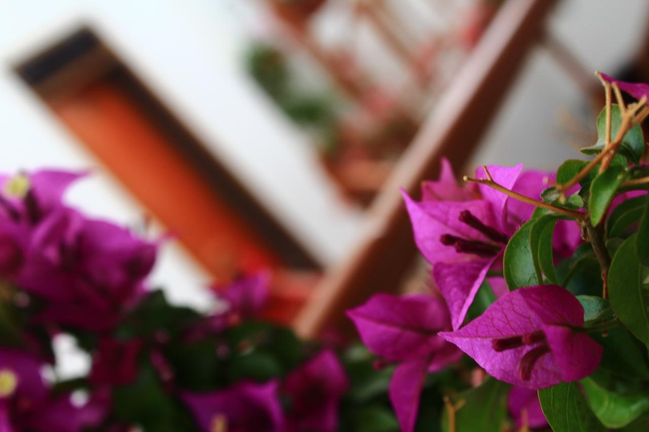 Amaru Hotel Huaraz Kültér fotó