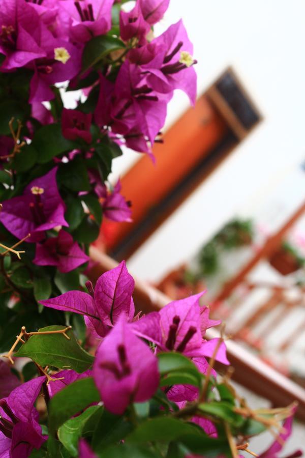 Amaru Hotel Huaraz Kültér fotó
